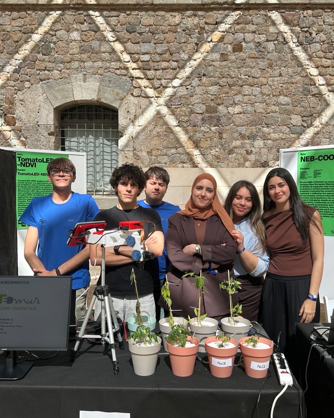 TomatoLED-NDVI: Evaluación del estrés salino en plántulas de tomate mediante NDVI y pulsos de luz LED roja - Fotografía 2